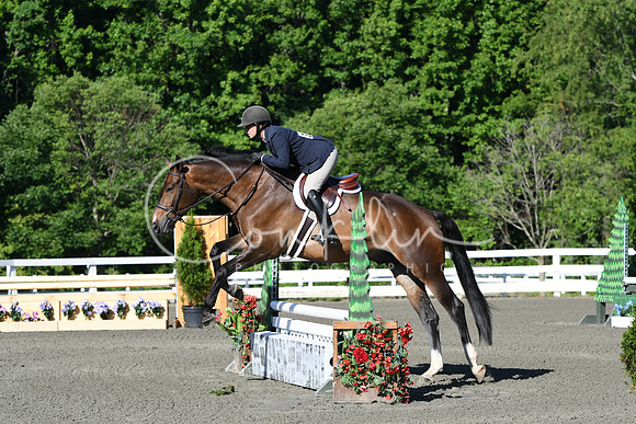 HSM_0274