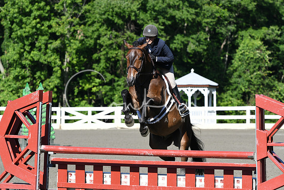 HSM_0277
