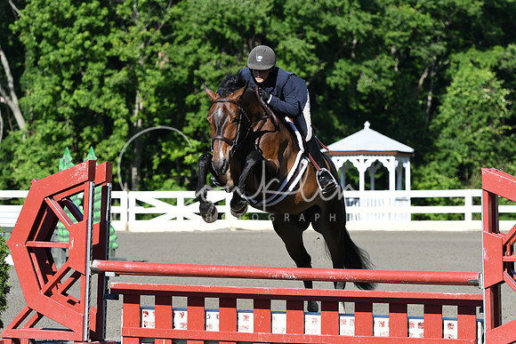 HSM_0278