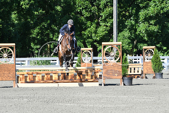 HSM_0347