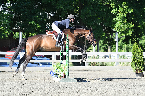 HSM_0351