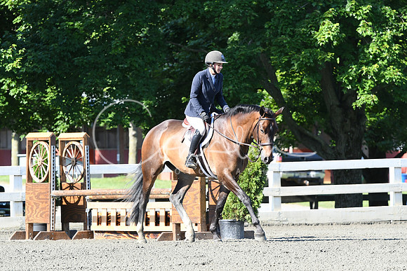 HSM_0361
