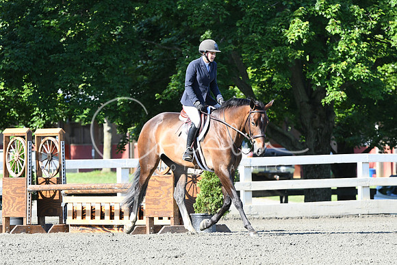HSM_0362