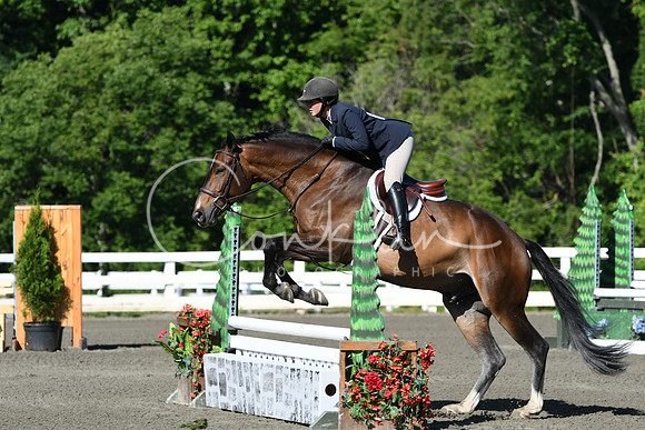HSM_0421