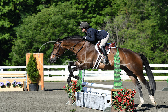 HSM_0422