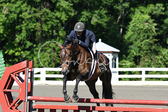 HSM_0427
