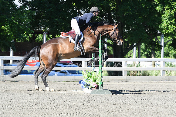 HSM_0428