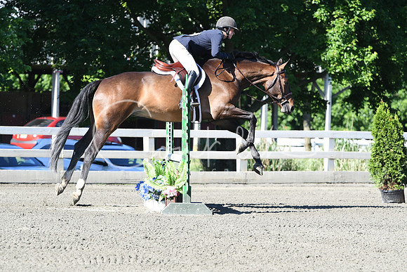 HSM_0429