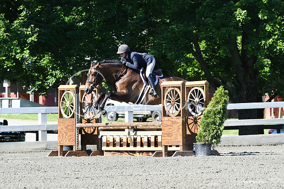 HSM_0431