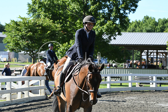 HSM_0433
