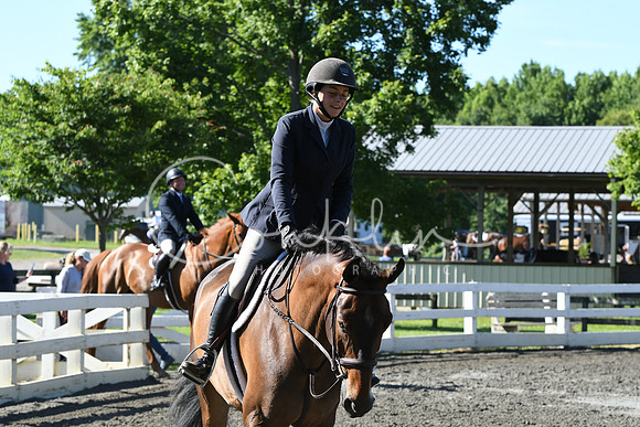 HSM_0434