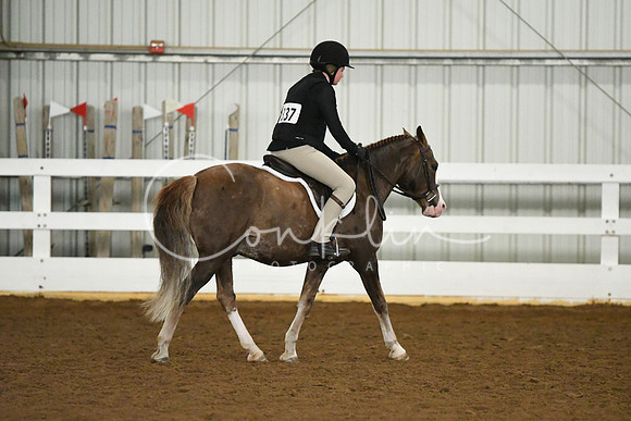 HSM_5648
