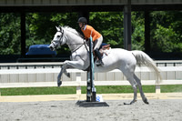 HSM_9390
