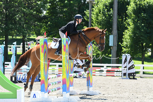HSM_8767