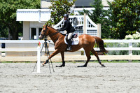 HSM_9261
