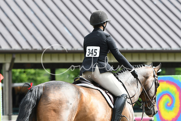HSM_4193
