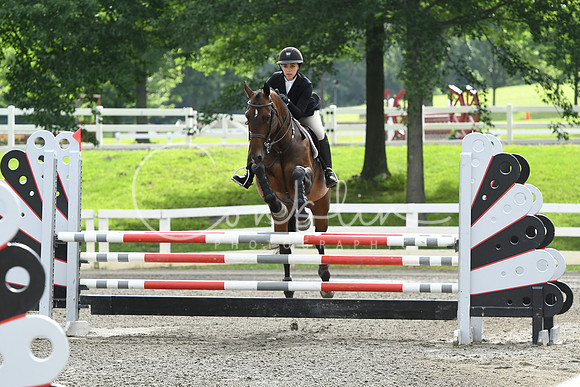 HSM_4195