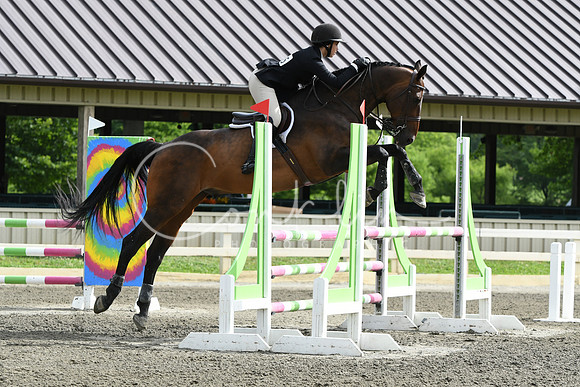 HSM_4201