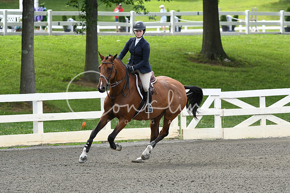 HSM_4310