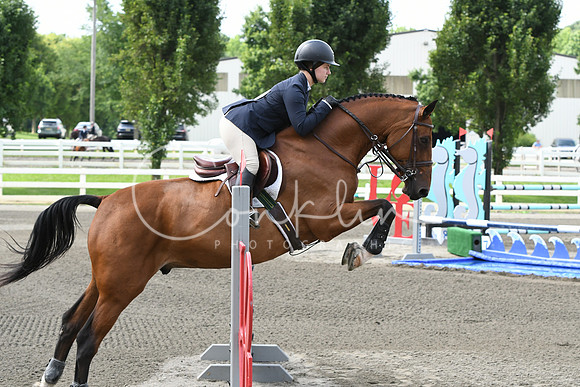 HSM_4314