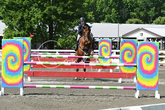 HSM_4317