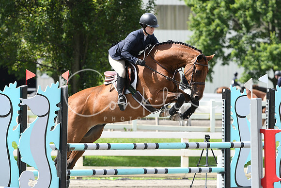 HSM_4329