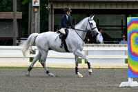 HSM_3798
