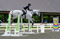 HSM_3801
