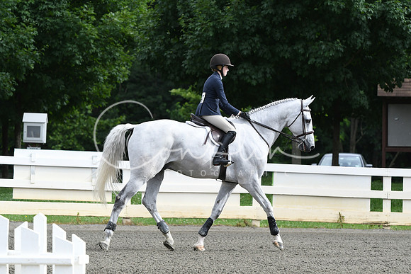 HSM_3931