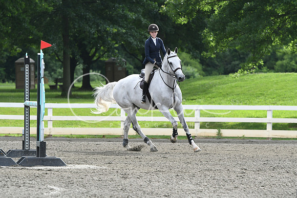 HSM_3933