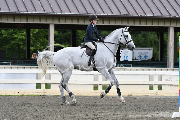 HSM_4106