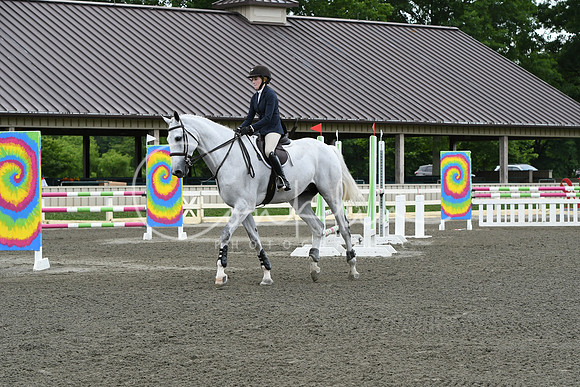 HSM_4113