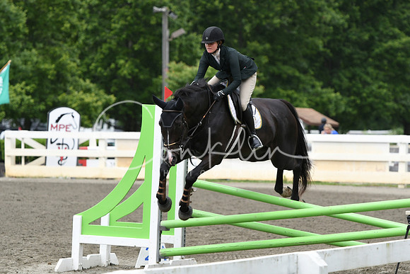 HSM_4437