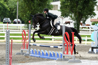 HSM_4446