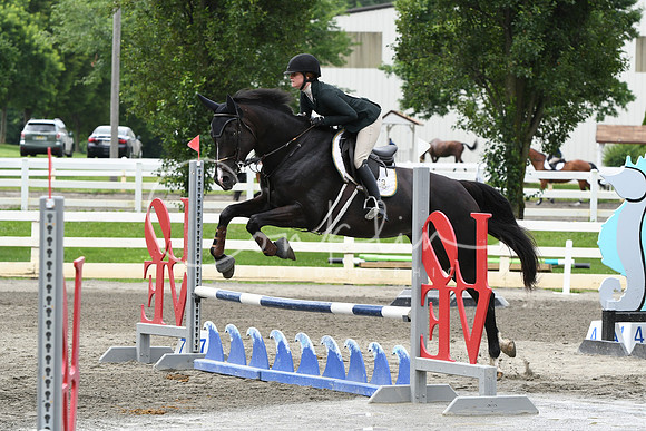 HSM_4446