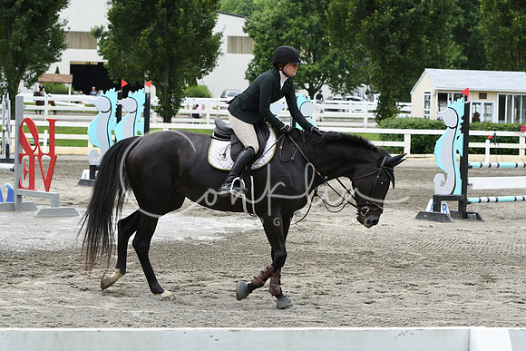 HSM_4593
