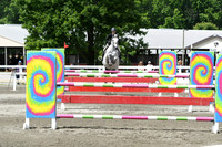 HSM_4417