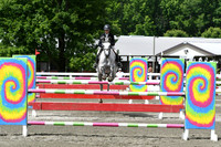 HSM_4419