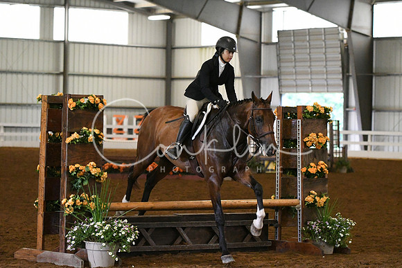HSM_7195