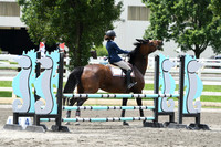 HSM_4516