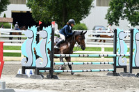 HSM_4518