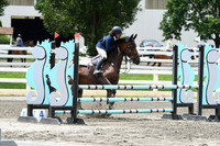 HSM_4519
