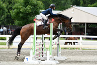 HSM_4598