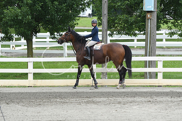 HSM_4642