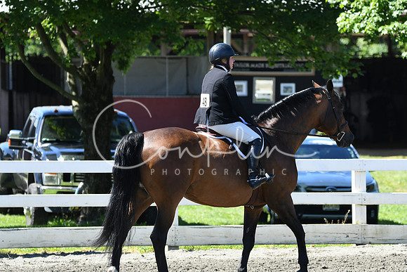 HSM_0774