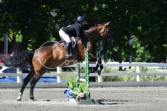 HSM_0779