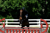 HSM_0782