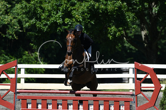 HSM_0782