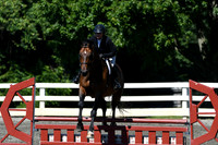 HSM_0784