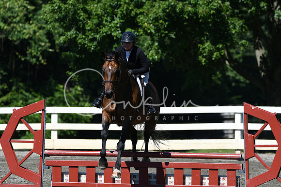 HSM_0784